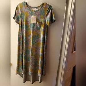 Zara dress NWT